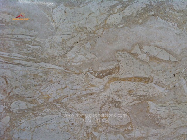 Đá Marble (Cẩm Thạch) Perlato